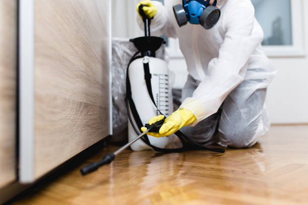 Reliable Gloster, MS Pest Control Solutions