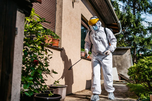 Best Pest Removal Services  in Gloster, MS