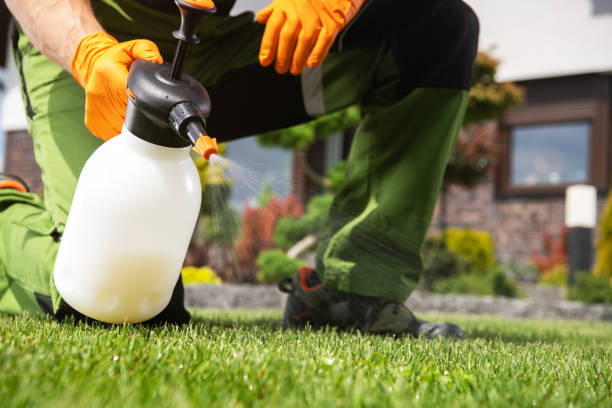 Best Rat Extermination Near Me  in Gloster, MS