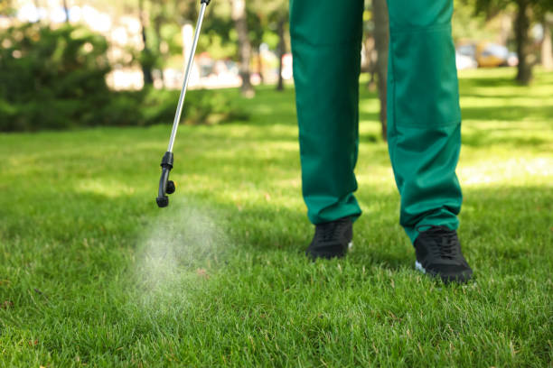 Best Best Pest Control Companies  in Gloster, MS
