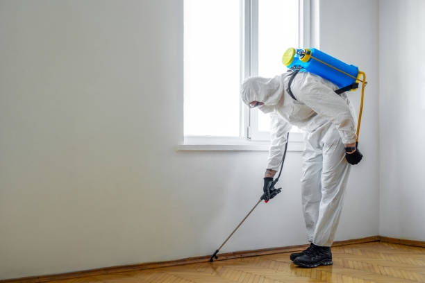 Best Local Pest Control Services  in Gloster, MS