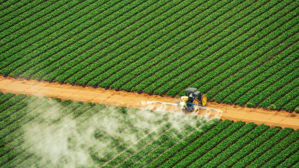 Best Affordable Exterminators  in Gloster, MS