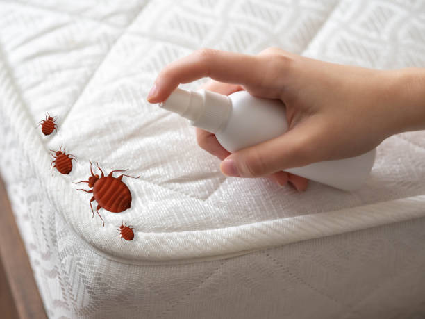 Best Wasp Removal Services  in Gloster, MS
