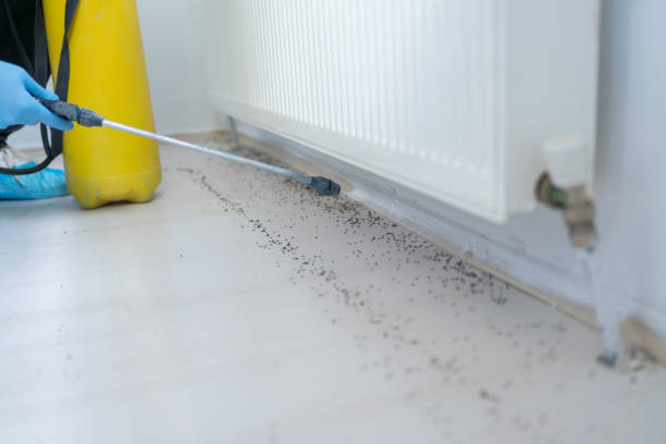 Best Best Pest Control Companies  in Gloster, MS